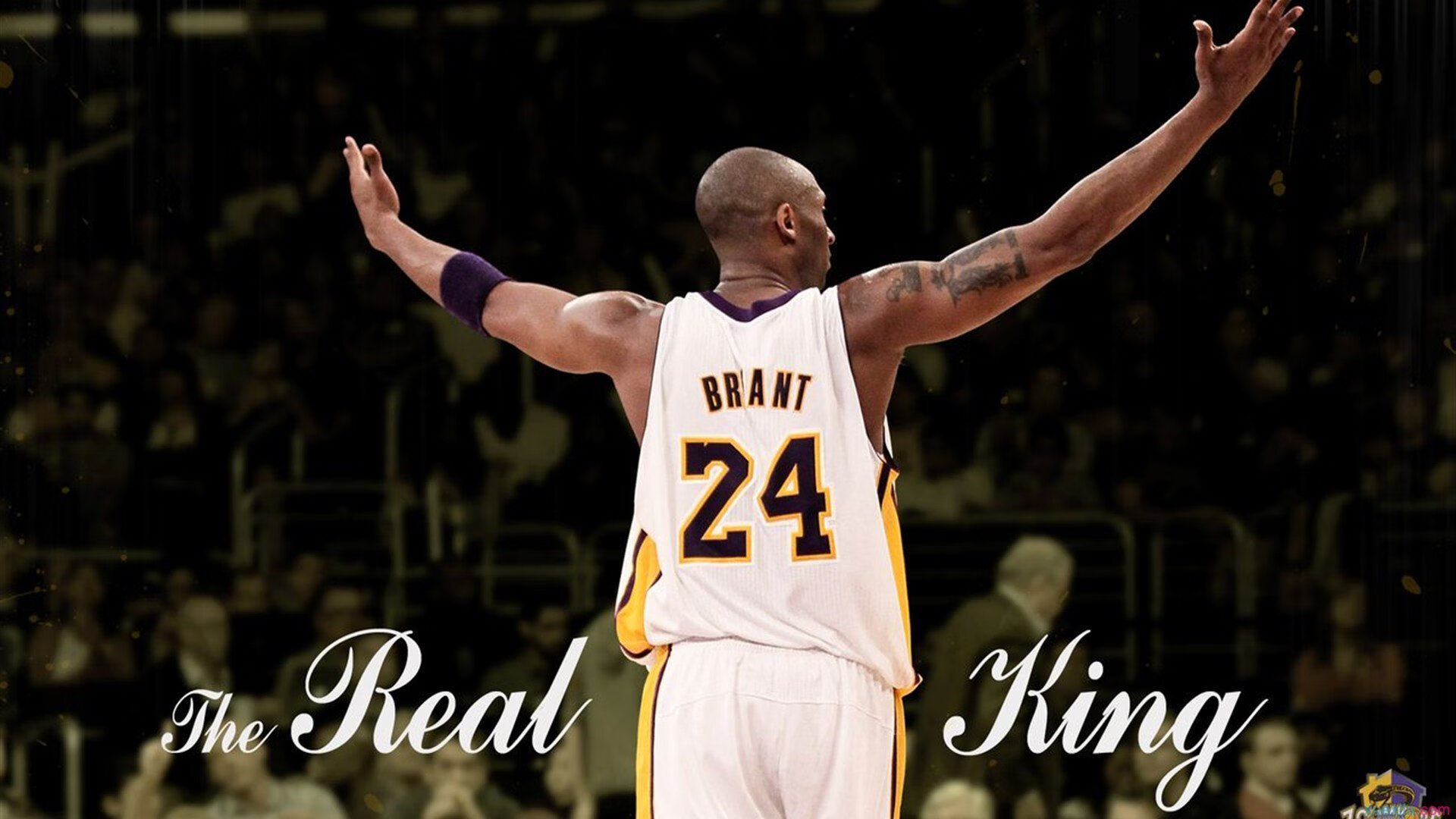 爱游戏2026-锡安筑起血肉长城，当防守成为新奥尔良的终极武器